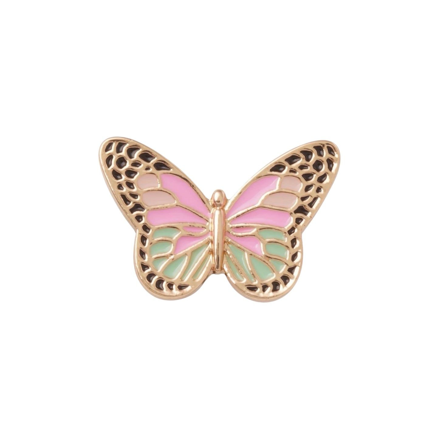 Elevated Colorful Butterfly